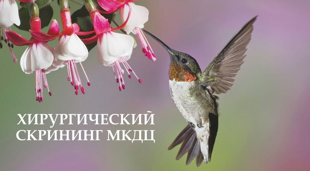 хирургический скрининг МКДЦ